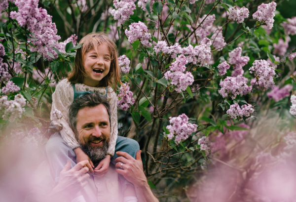 Dad having fun with young daughter, carry her on shoulders, walking in spring nature. Fatherhood and Father's Day concept.