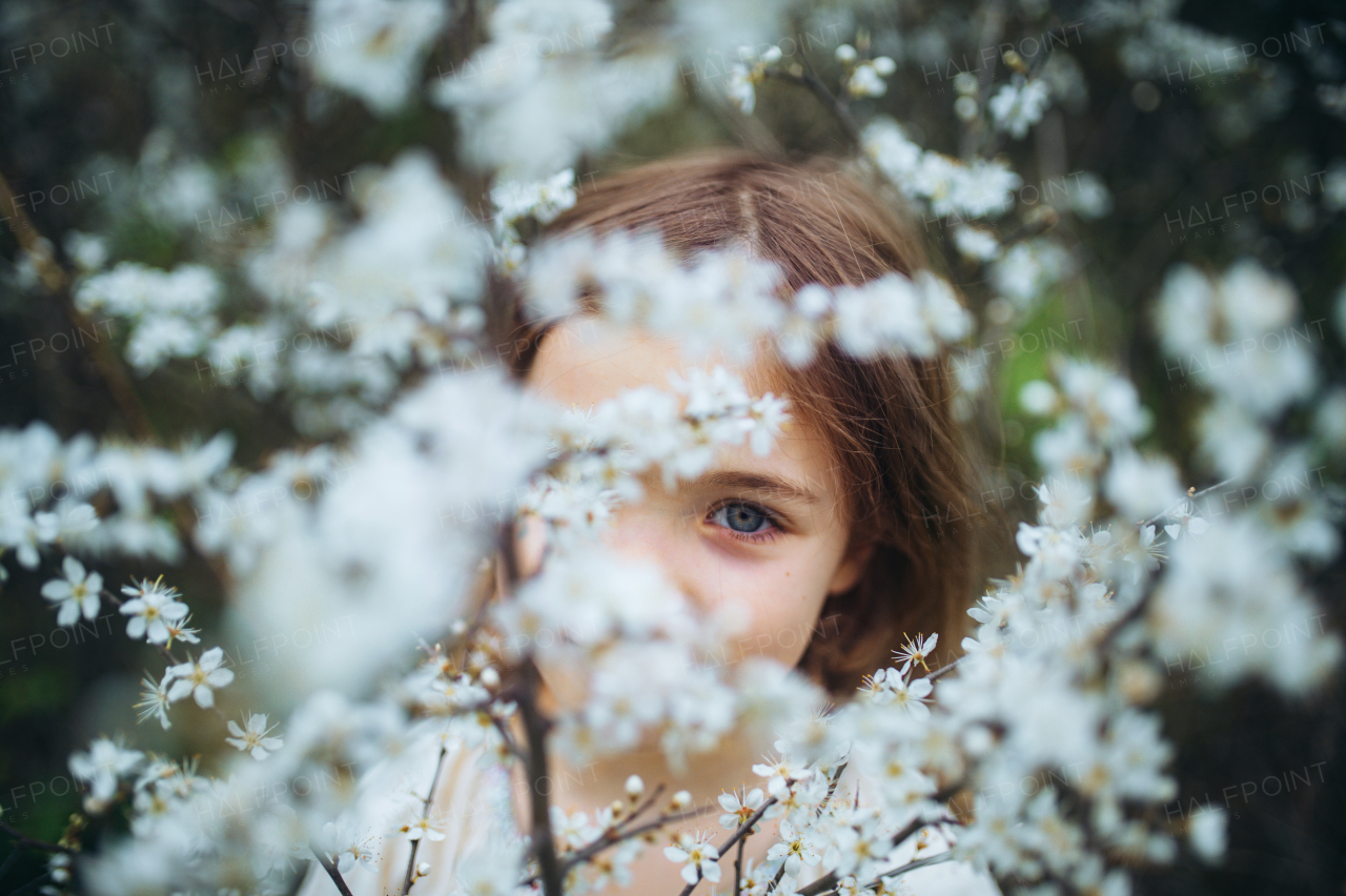 Beautiful young girl in the middle of white blooming flower, trees in orchard. Young girl spending time outdoors in nature, springtime, summertime.