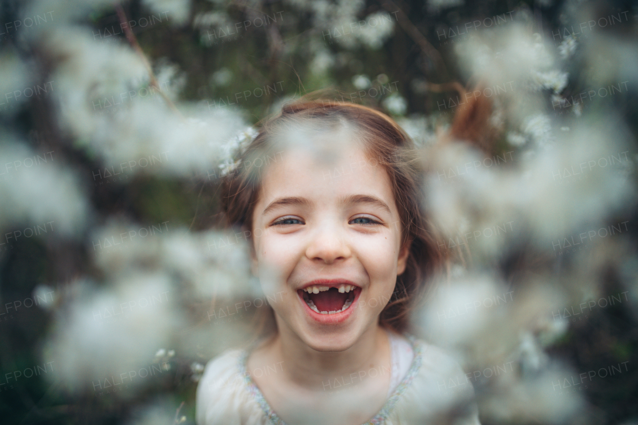 Beautiful young girl in the middle of white blooming flower, trees in orchard. Young girl spending time outdoors in nature, springtime, summertime.