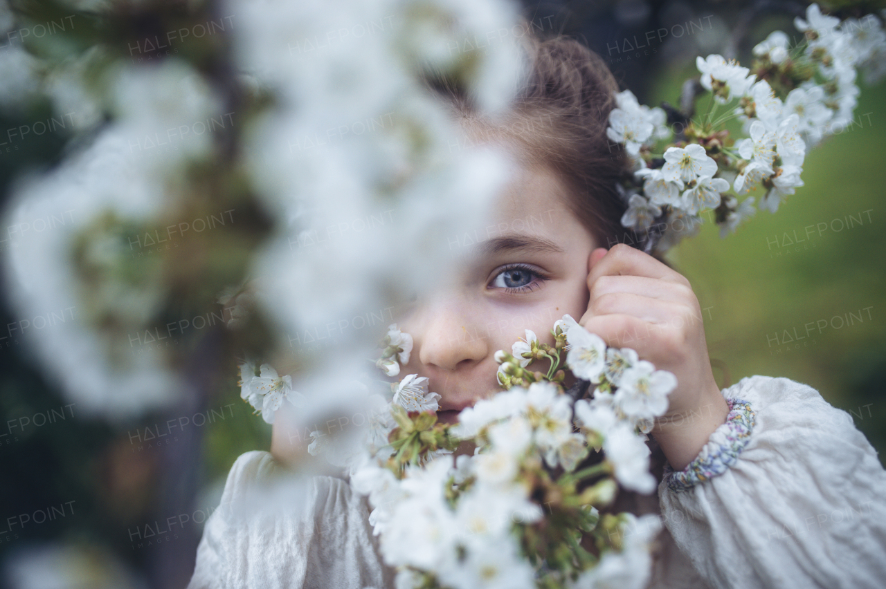 Beautiful young girl in the middle of white blooming flower, trees in orchard. Young girl spending time outdoors in nature, springtime, summertime.