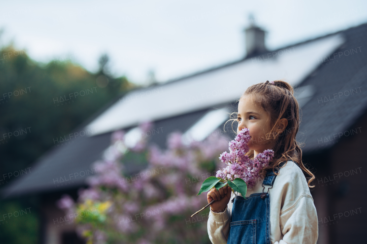 Beautiful young girl with purple lilacs flower in hands. Young girl spending time outdoors in nature, springtime, summertime. House with solar panels in background.