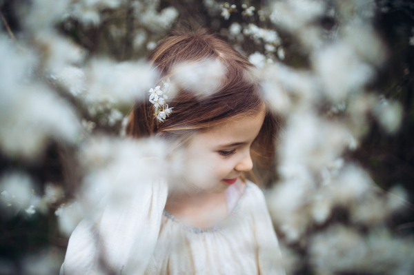 Beautiful young girl wearing flowers in her hair, standing in the middle of blooming spring trees. Concept of springtime in nature.