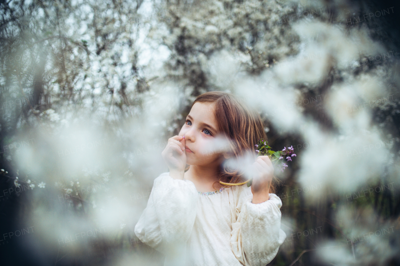 Beautiful young girl in the middle of blooming trees smelling purple flower. Concept of springtime in nature.