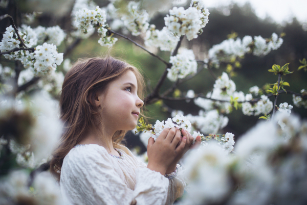 Beautiful young girl holding flowers in her palms, standing in the middle of blooming spring trees. Concept of springtime in nature.