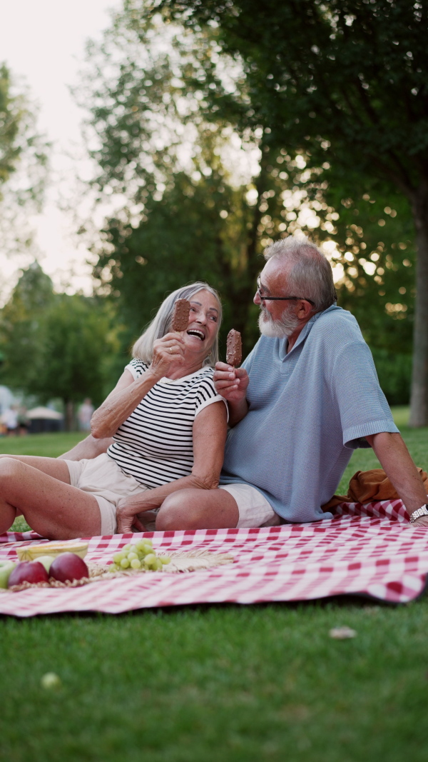 Elderly couple in love having a picnic in the city park, sitting on a picnic blanket, talking. Staycation concept.