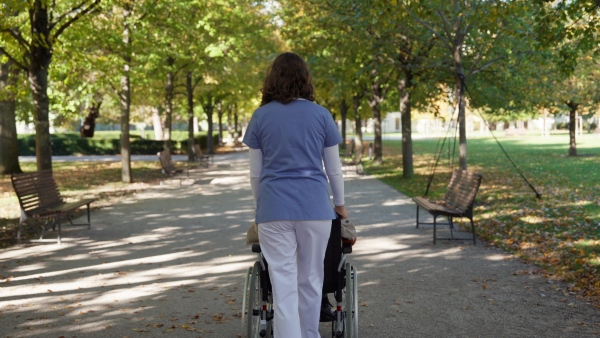 A rear view of disabled elderly woman in wheelchair on walk in park during warm autumn day. Young nurse pushing wheelchair, talking with senior woman.