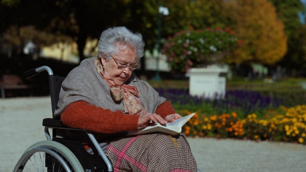 A video of elderly woman sitting in wheelchair and reading book. Semale senior spending warm autumn day in city park.