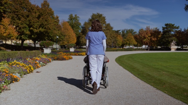 A rear view of disabled elderly woman in wheelchair on walk in park during warm autumn day. Young nurse pushing wheelchair, talking with senior woman.