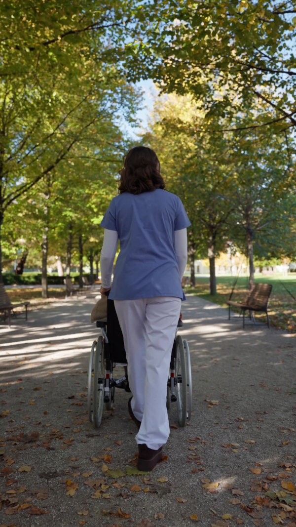 A rear view of disabled elderly woman in wheelchair on walk in park during warm autumn day. Young nurse pushing wheelchair, talking with senior woman.