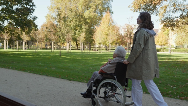 Disabled elderly woman in wheelchair on walk in park during warm autumn day. Young nurse pushing wheelchair, talking with senior woman.