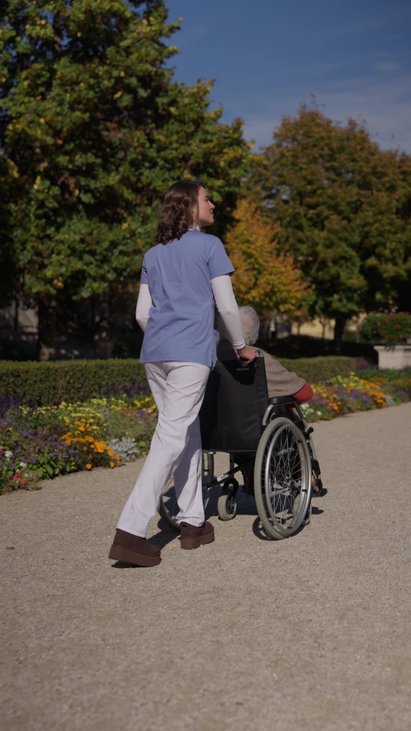 A rear view of disabled elderly woman in wheelchair on walk in park during warm autumn day. Young nurse pushing wheelchair, talking with senior woman.