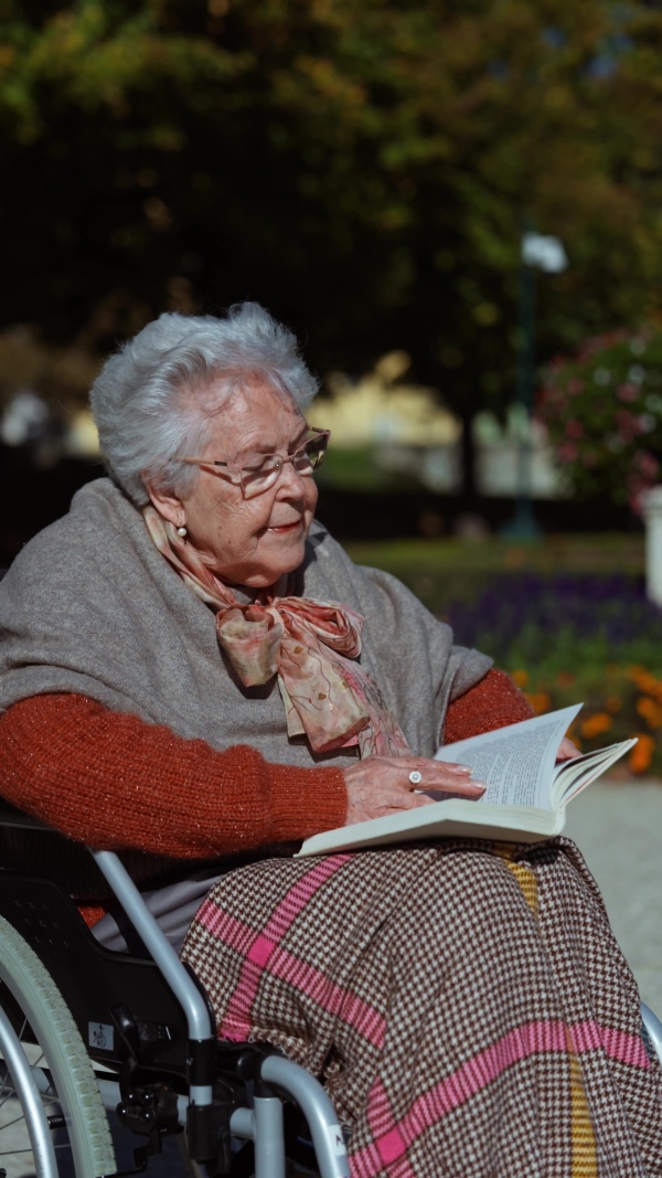 A video of elderly woman sitting in wheelchair and reading book. Semale senior spending warm autumn day in city park.