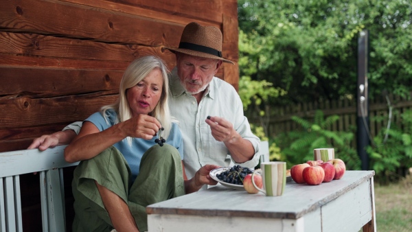 A senior couple having healthy snack together, eating blue grapes. Outdoor breakfast in the garden.