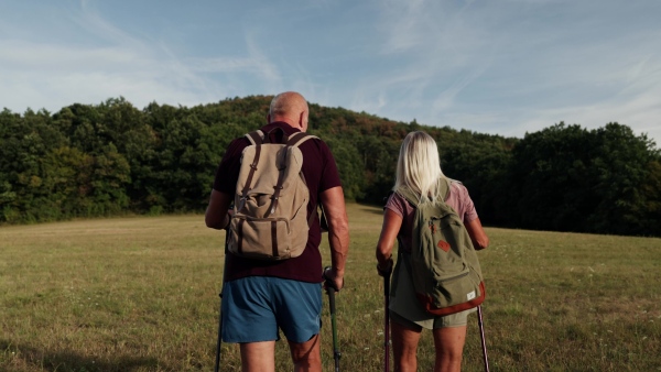 Active senior couple spending their free time outdoors, hiking in nature. Senior man and woman with trekking poles and backpack.