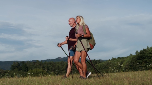 Active senior couple spending their free time outdoors, hiking in nature. Senior man and woman with trekking poles and backpack.