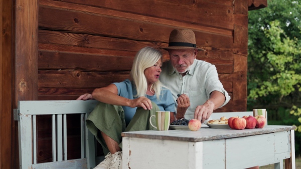 A senior couple having healthy snack together, eating blue grapes. Outdoor breakfast in the garden.