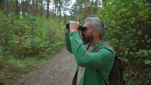 Handsome mature man watching wildlife with binoculars, enjoying peaceful atmosphere of forest, forestbathing.