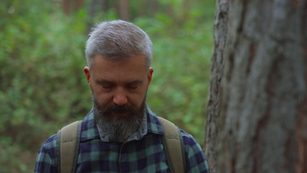 Handsome man standing in the middle of nature, enjoying peaceful atmosphere of forest, forestbathing.