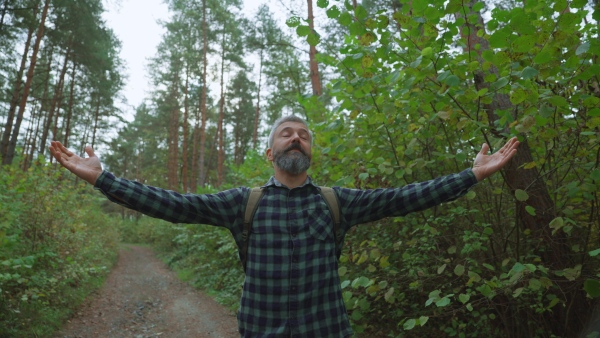 Handsome man standing in the middle of nature, enjoying peaceful atmosphere of forest, forestbathing.