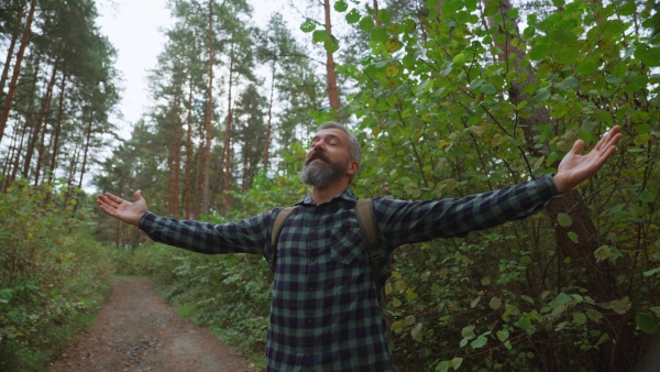 Handsome man standing in the middle of nature, enjoying peaceful atmosphere of forest, forestbathing.