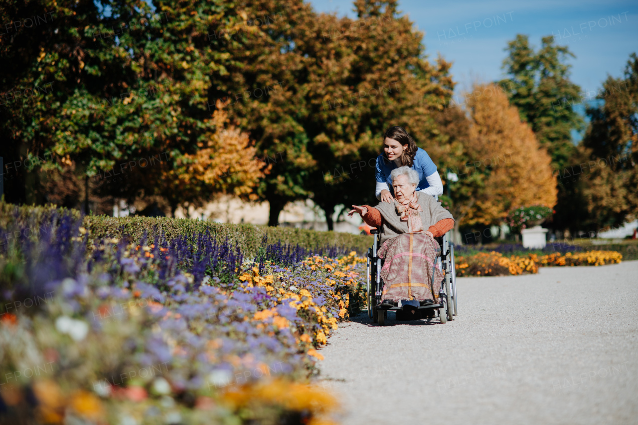 Disabled elderly woman in wheelchair on walk in the park, admiring flower bed. Young nurse pushing wheelchair