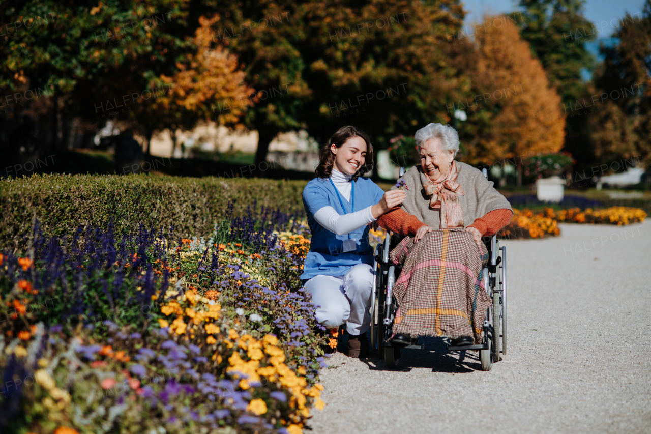 Disabled elderly woman in wheelchair on walk in the park during warm autumn day. Young nurse showing senior woman flower.