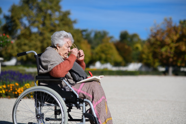 Portrait of elderly woman sitting in wheelchair and reading book. Semale senior spending warm autumn day in city park.