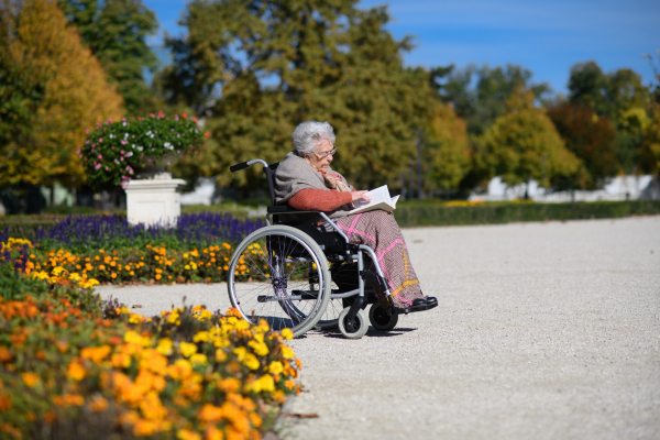 Portrait of elderly woman sitting in wheelchair and reading book. Semale senior spending warm autumn day in city park.