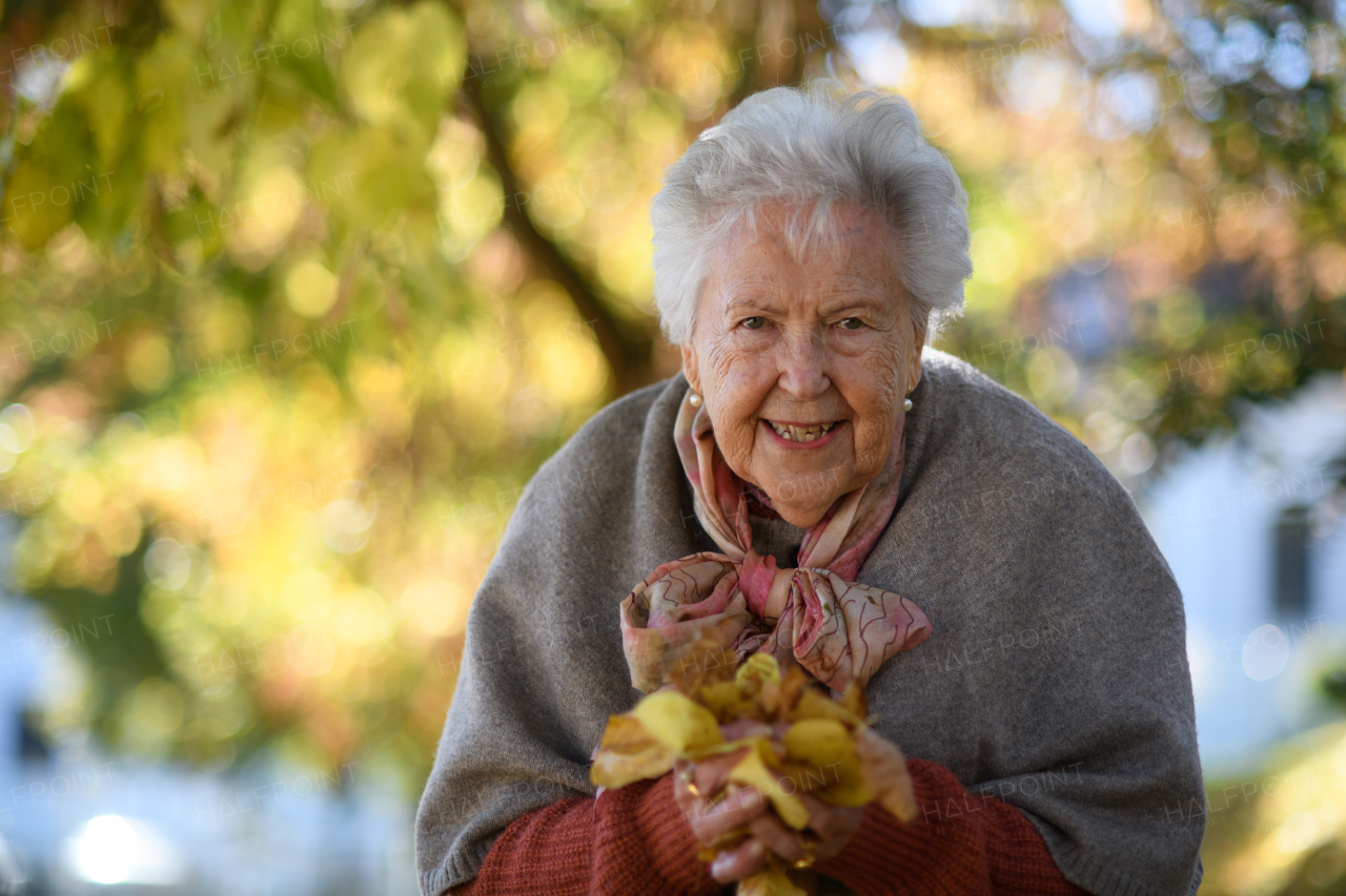 Portrait of elderly woman on walk in the park during warm autumn day, holding handful of colorful leaves