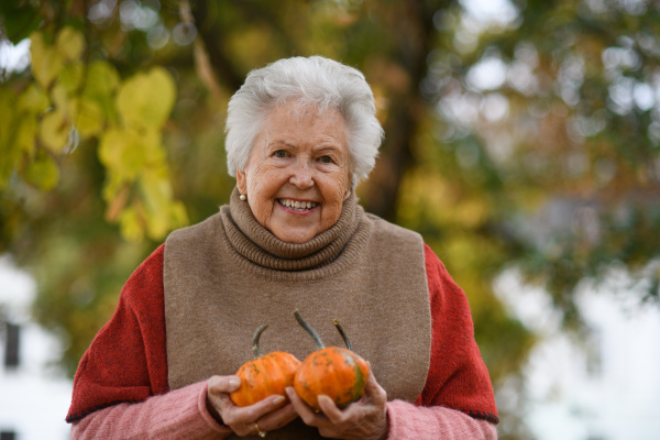 Portrait of elderly woman on walk in the park during warm autumn day, holding pumpkins in hands.