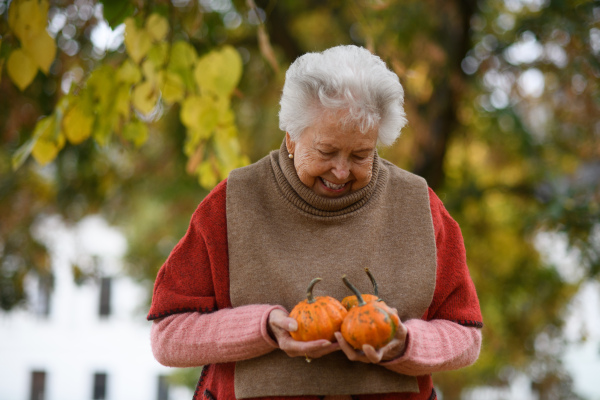 Portrait of elderly woman on walk in the park during warm autumn day, holding pumpkins in hands.