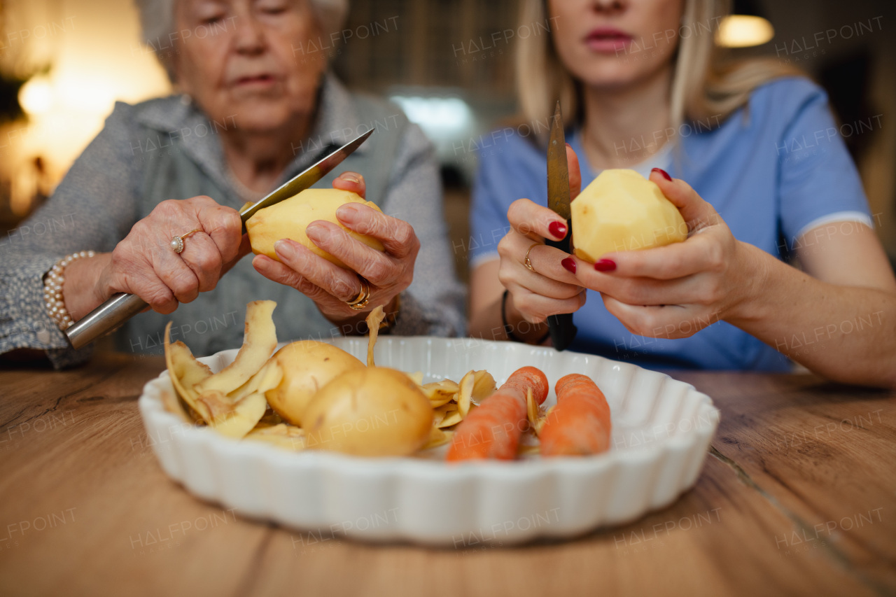 Portrait of an elderly companion assistant and senior woman peeling potatoes. Home health care services.