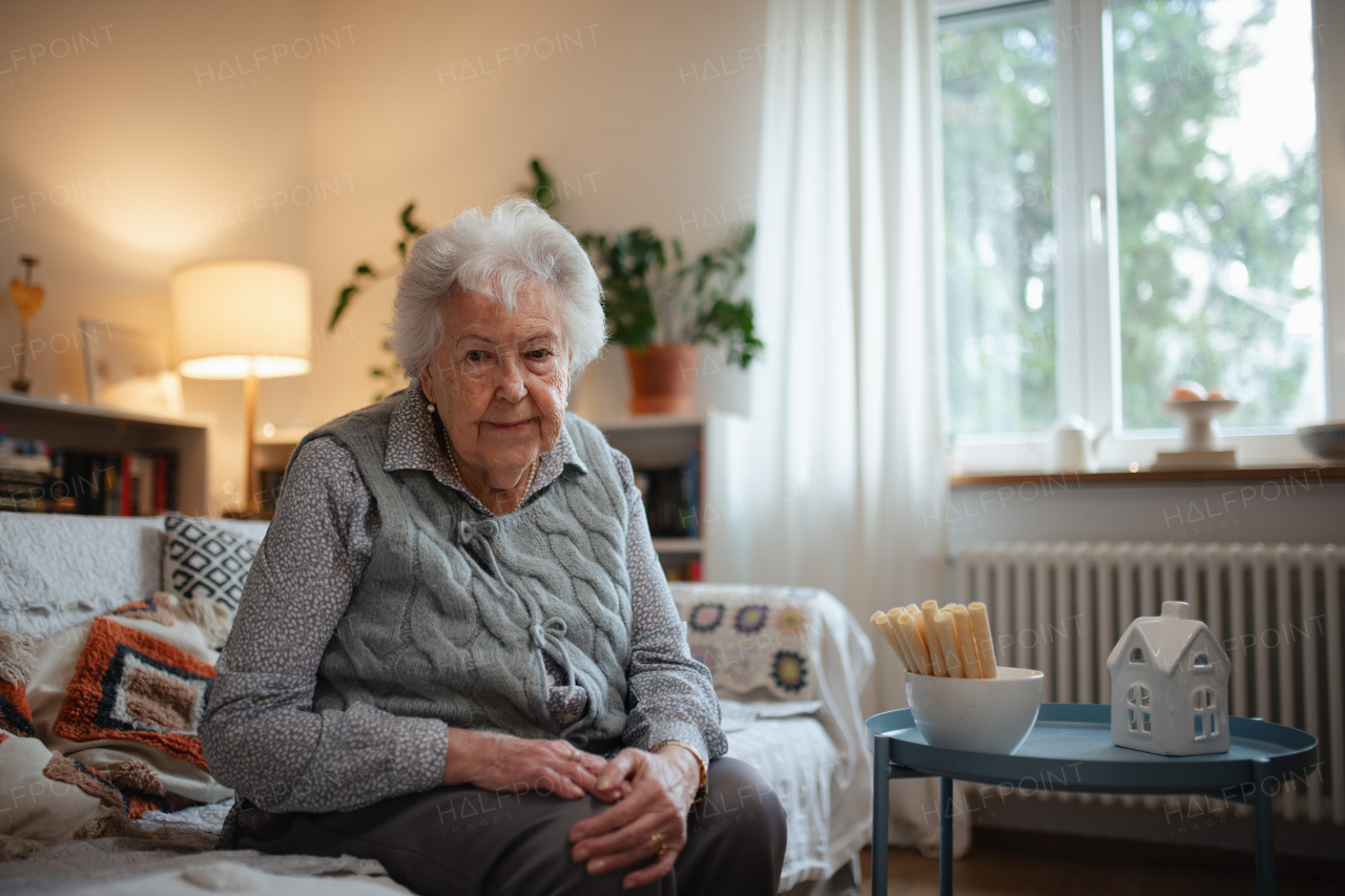 Lovely elderly woman sitting in living room alone, without family. Portrait of senior woman at home.