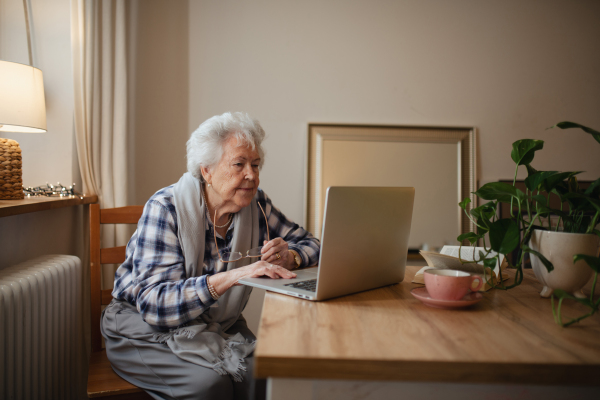 Senior woman working on laptop on her own, feeling confident. Digital literacy of elderly people.