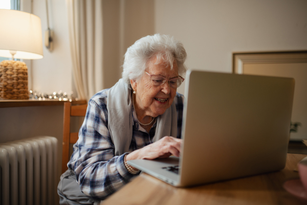 Senior woman working on laptop on her own, feeling confident. Digital literacy of elderly people.