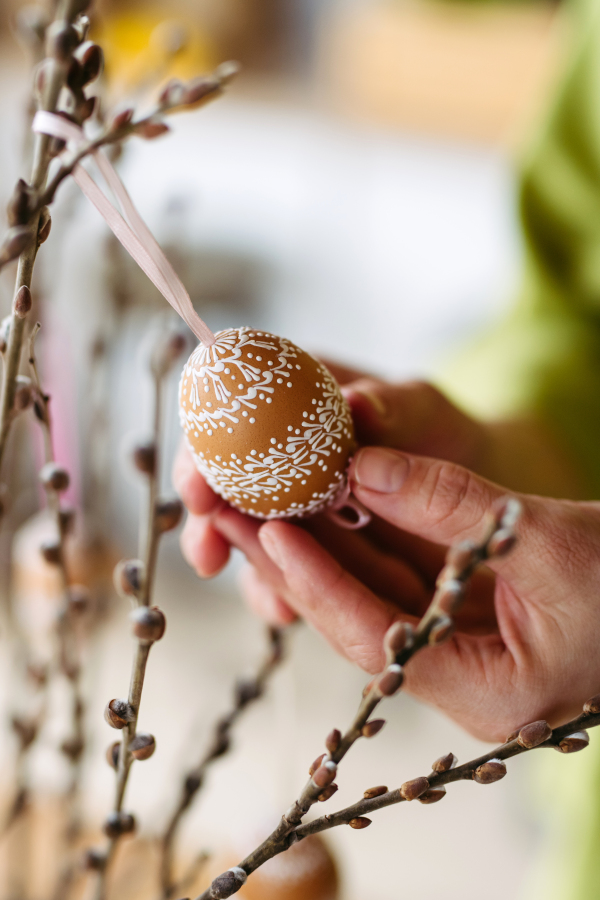 Decorating pussy willows branches with easter eggs. Concept of easter holidays.