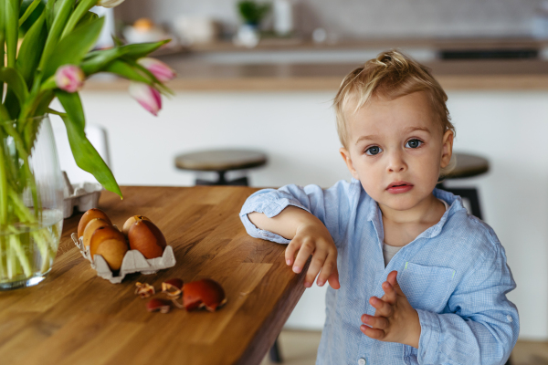 Little boy and easter eggs dyed with onion skins.