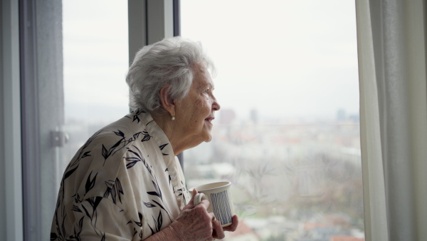 Beautiful senior woman looking out of window, expecting a visitor.