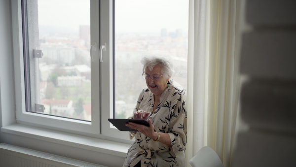 A video of senior woman holding tablet, looking at screen. Concept of digital literacy and elderly people.