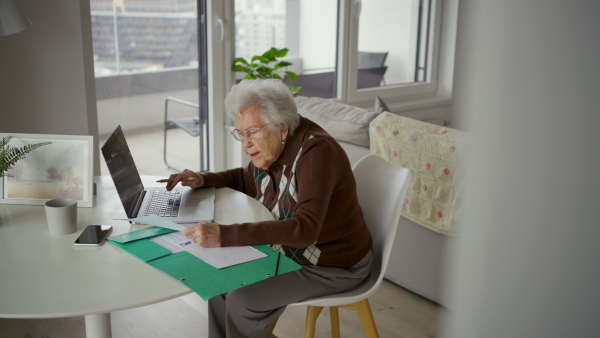 A senior woman using laptop on her own, feeling confident. Digital literacy of elderly people.