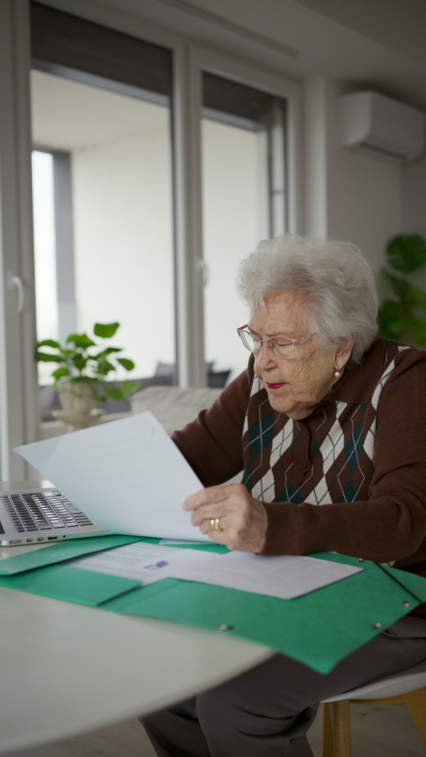 A senior woman using laptop on her own, feeling confident. Digital literacy of elderly people.