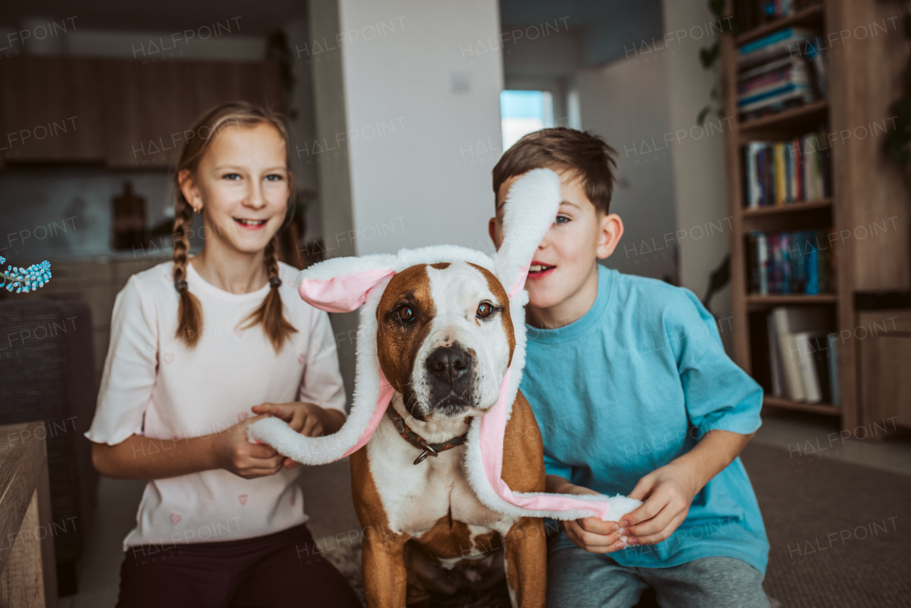 Boy, girl and dog wearing bunny ear headbands. Family easter holiday concept.