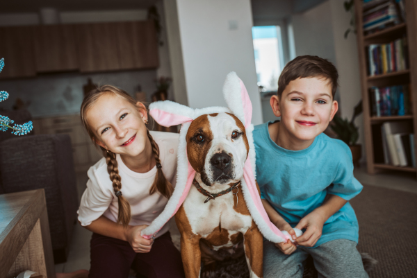 Boy, girl and dog wearing bunny ear headbands. Family easter holiday concept.