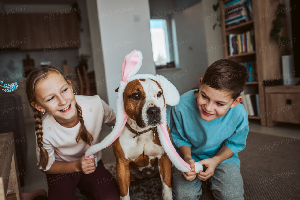 Boy, girl and dog wearing bunny ear headbands. Family easter holiday concept.