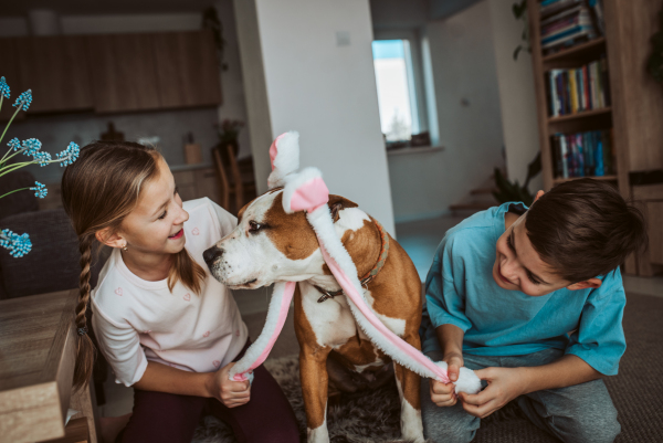 Boy, girl and dog wearing bunny ear headbands. Family easter holiday concept.