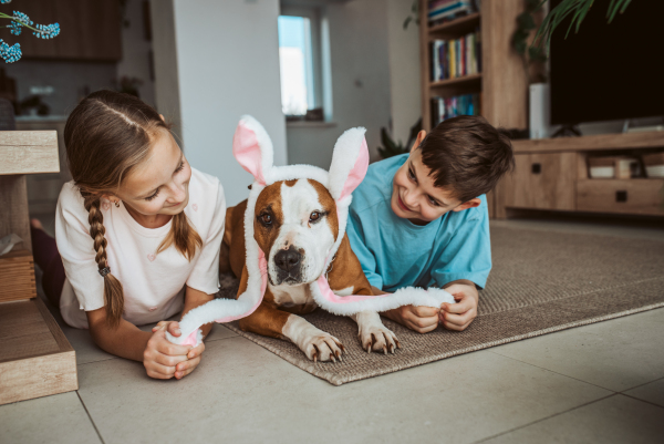 Boy, girl and dog wearing bunny ears. Family easter holiday concept.