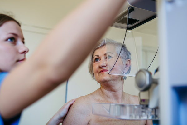Nurse adjusts elderly patient for accurate breast imaging. Preventive breast cancer screening.