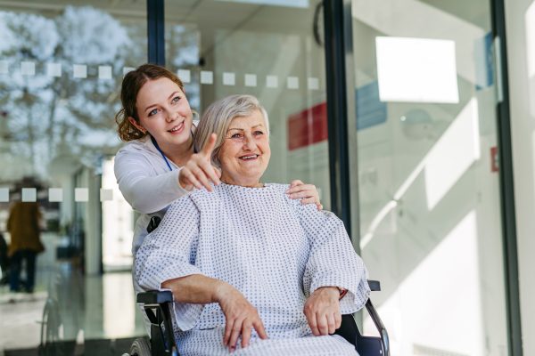 Elderly patient in wheelchair and female physician smiling. Senior health care.