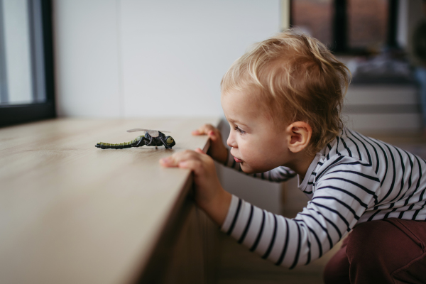 Cute toddler boy is playing with small dragonfly toy at home.