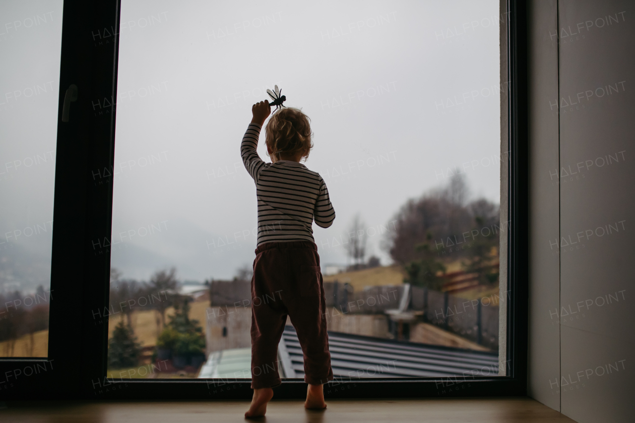 Adorable toddler boy playing with toy at home, standing by window.